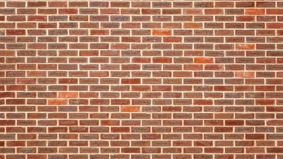 Tuckpointing vs Repointing